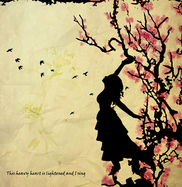 White Flowers Falling from Tree